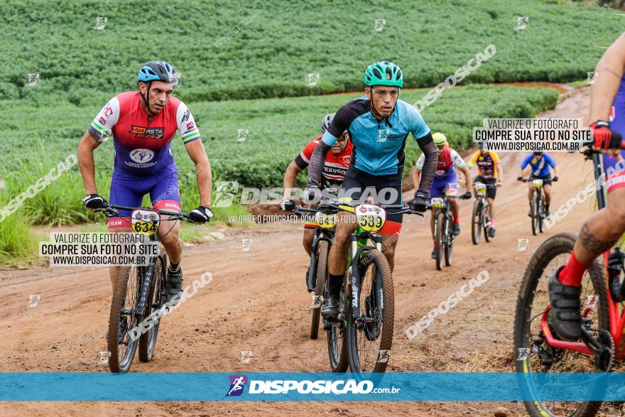 V GP Mandaguaçu de MTB