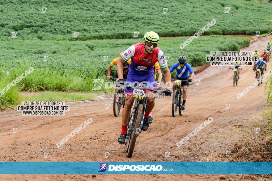 V GP Mandaguaçu de MTB