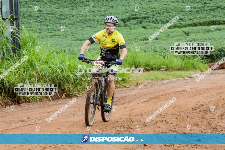 V GP Mandaguaçu de MTB