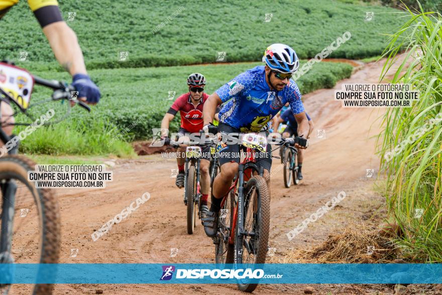 V GP Mandaguaçu de MTB