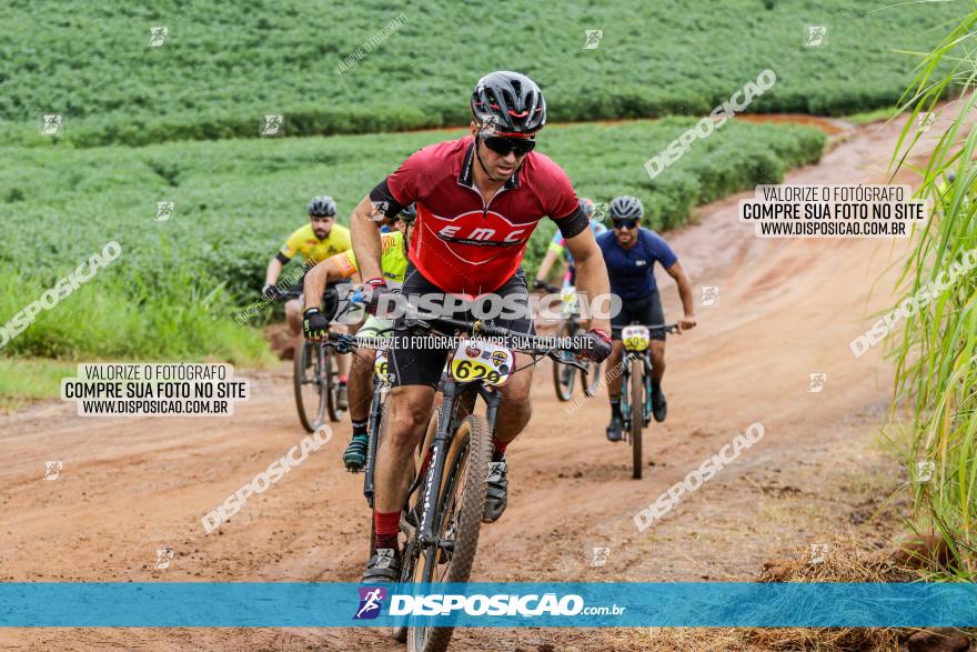 V GP Mandaguaçu de MTB