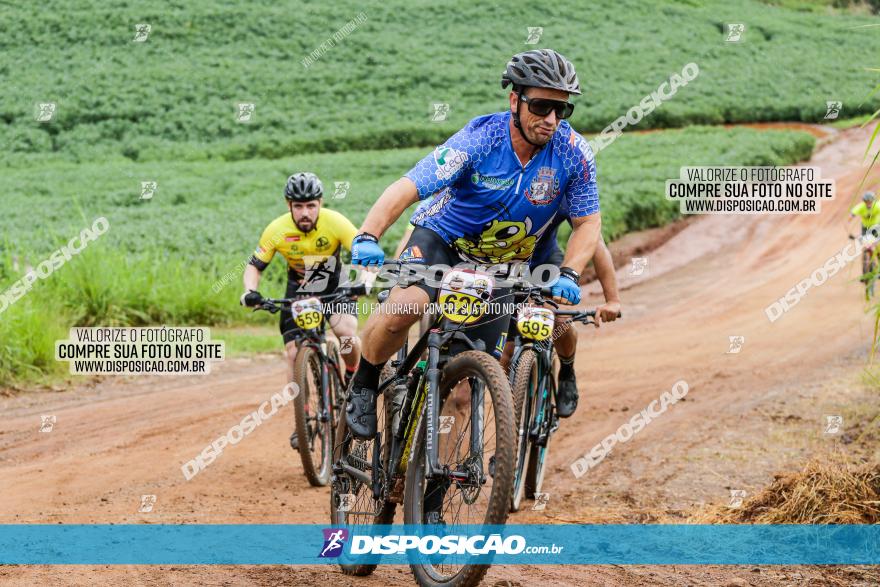 V GP Mandaguaçu de MTB