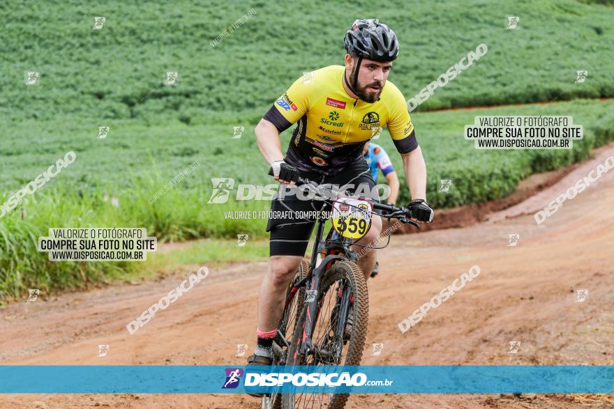 V GP Mandaguaçu de MTB