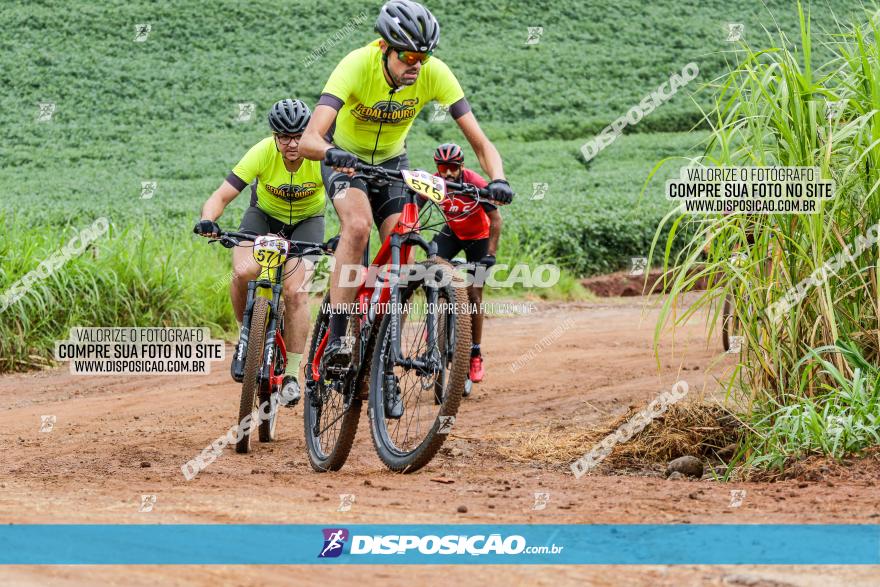 V GP Mandaguaçu de MTB