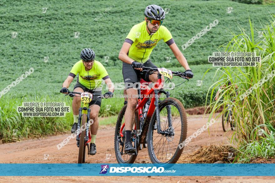 V GP Mandaguaçu de MTB