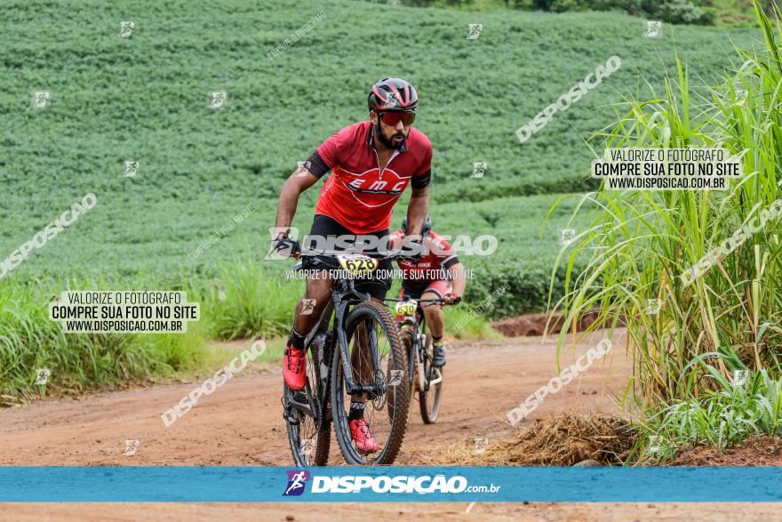 V GP Mandaguaçu de MTB