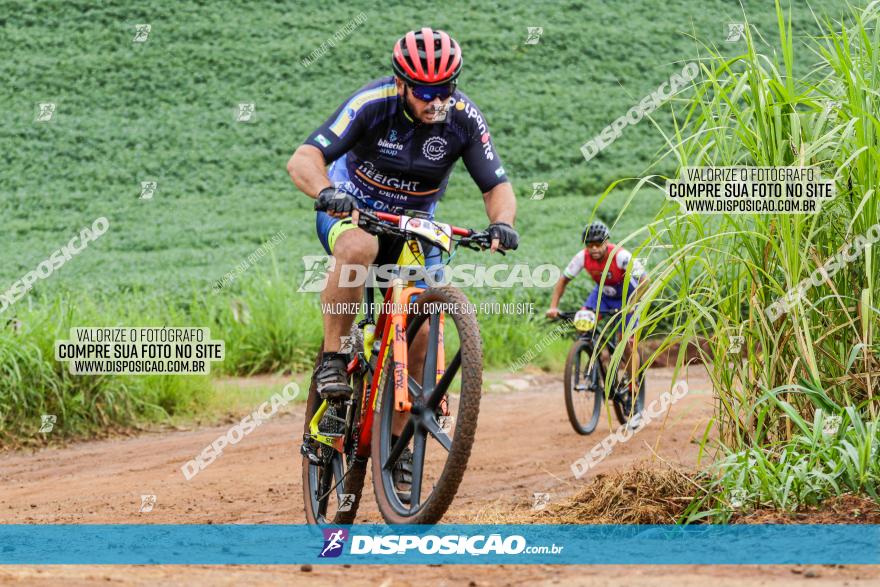 V GP Mandaguaçu de MTB