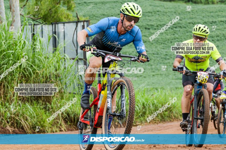 V GP Mandaguaçu de MTB