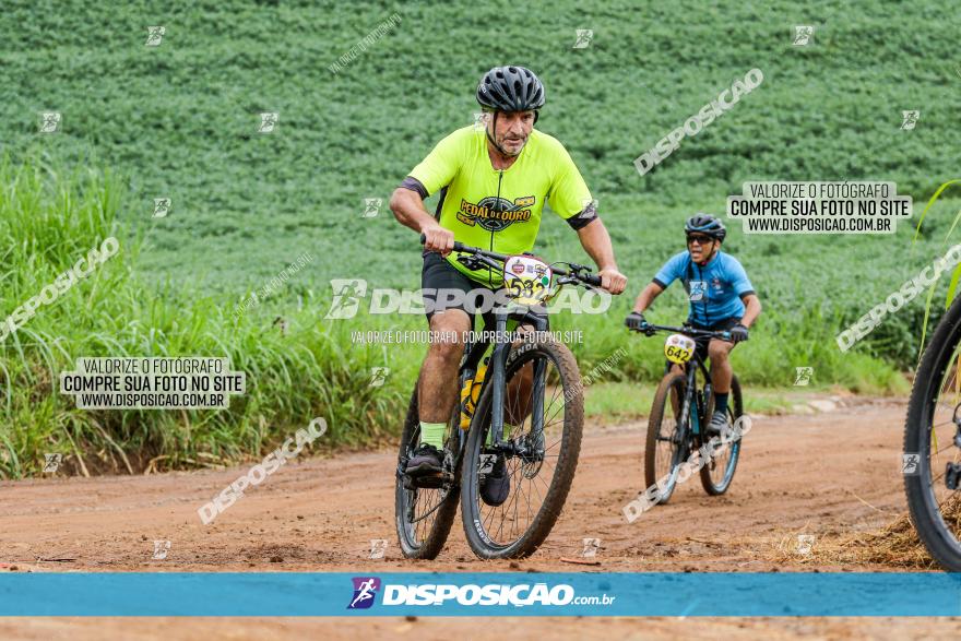 V GP Mandaguaçu de MTB