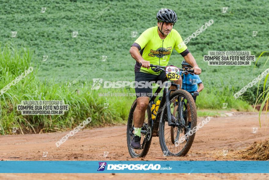 V GP Mandaguaçu de MTB