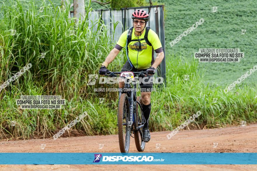 V GP Mandaguaçu de MTB