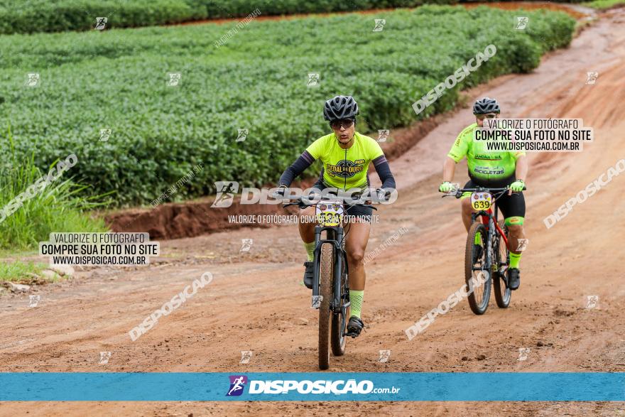 V GP Mandaguaçu de MTB