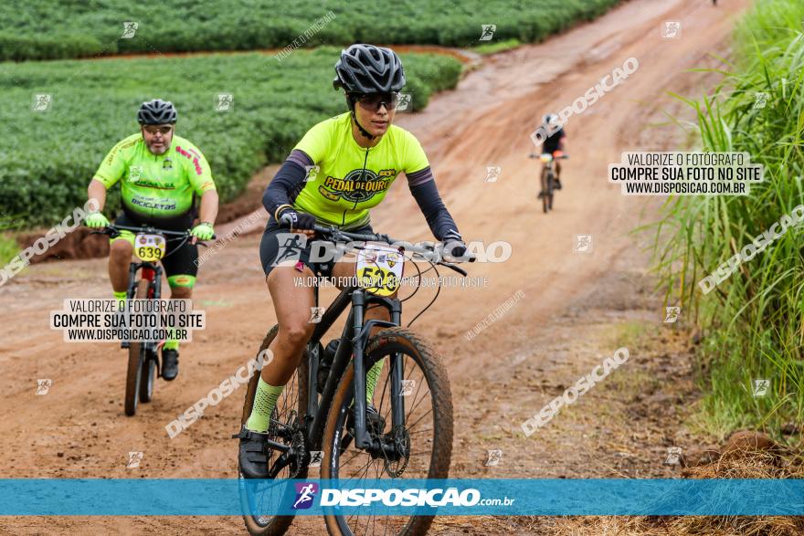 V GP Mandaguaçu de MTB