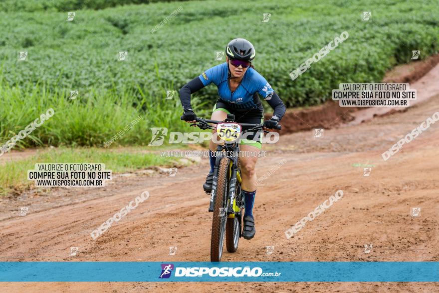 V GP Mandaguaçu de MTB