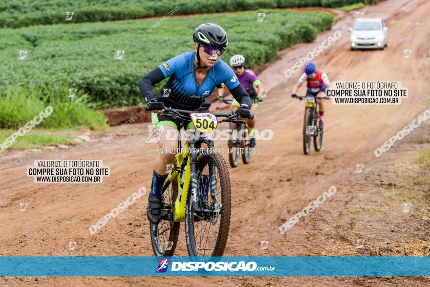 V GP Mandaguaçu de MTB