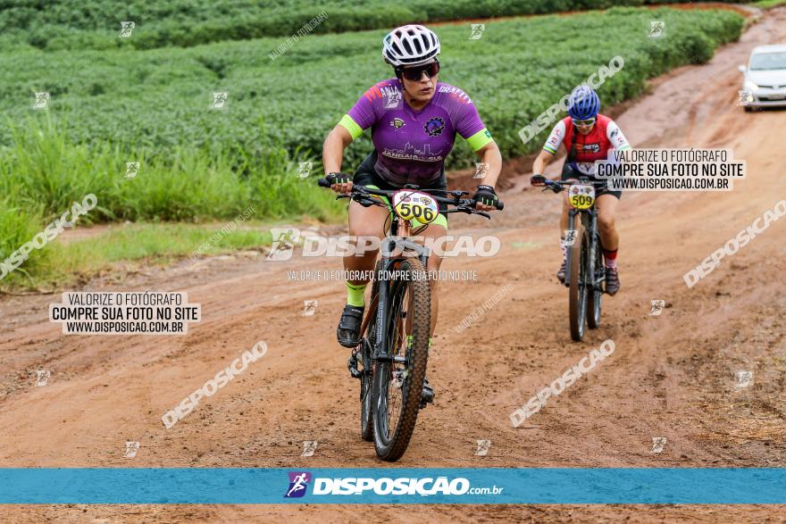 V GP Mandaguaçu de MTB