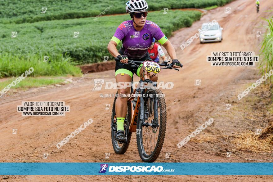 V GP Mandaguaçu de MTB