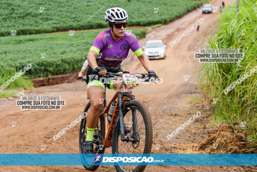 V GP Mandaguaçu de MTB