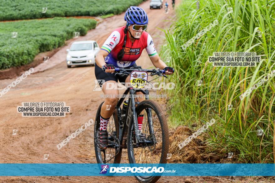 V GP Mandaguaçu de MTB