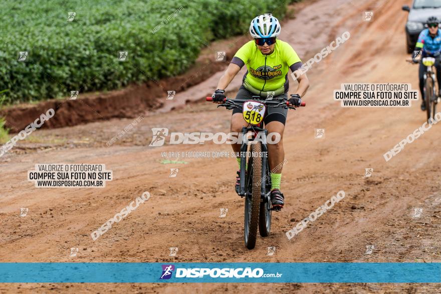 V GP Mandaguaçu de MTB