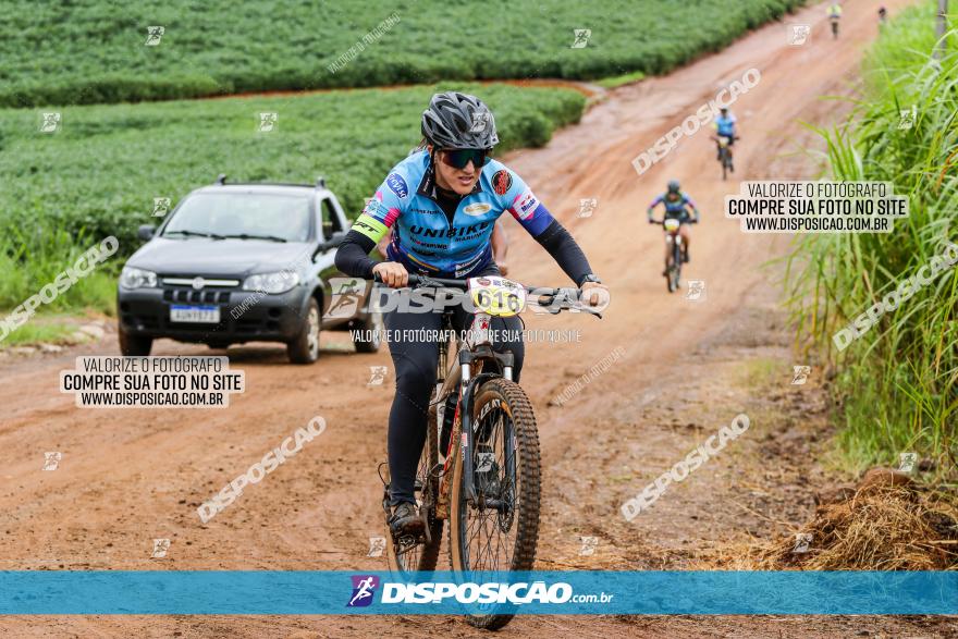 V GP Mandaguaçu de MTB