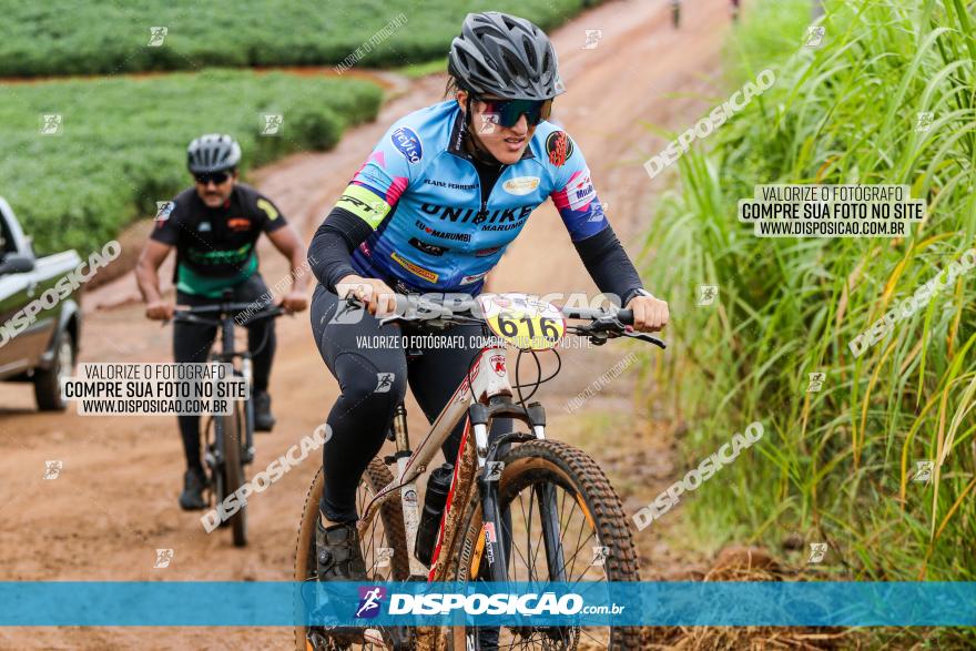 V GP Mandaguaçu de MTB