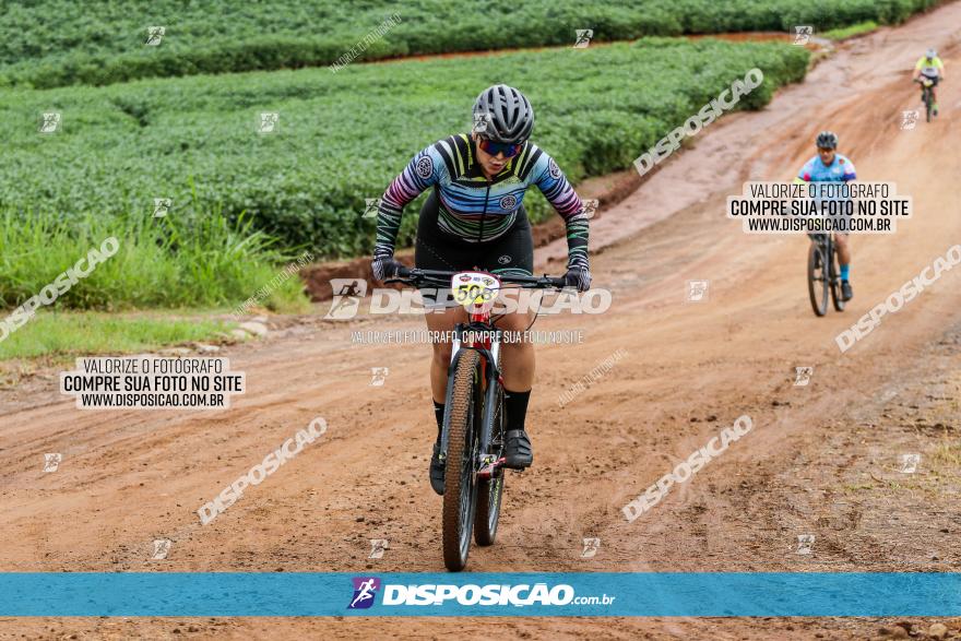 V GP Mandaguaçu de MTB