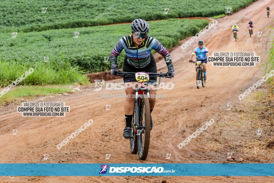 V GP Mandaguaçu de MTB