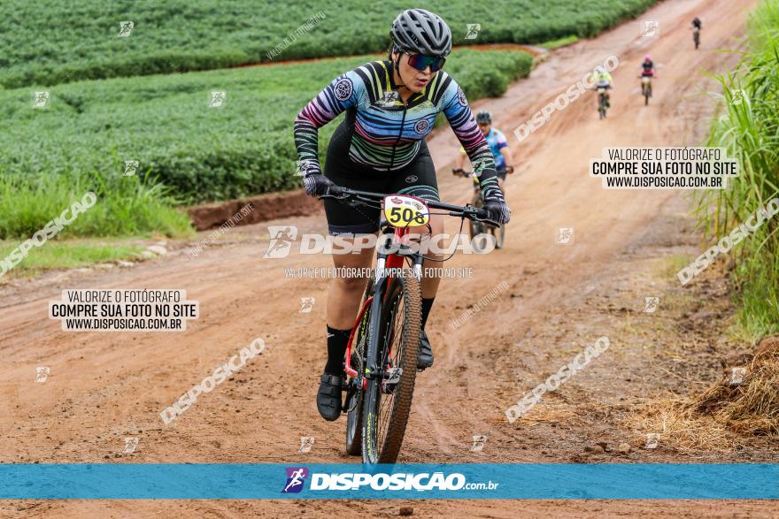 V GP Mandaguaçu de MTB