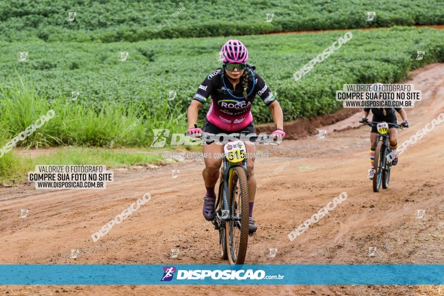 V GP Mandaguaçu de MTB