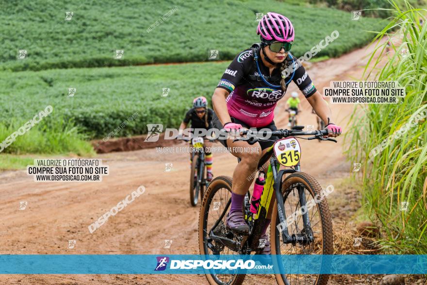 V GP Mandaguaçu de MTB