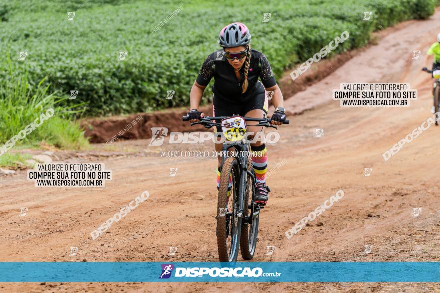 V GP Mandaguaçu de MTB