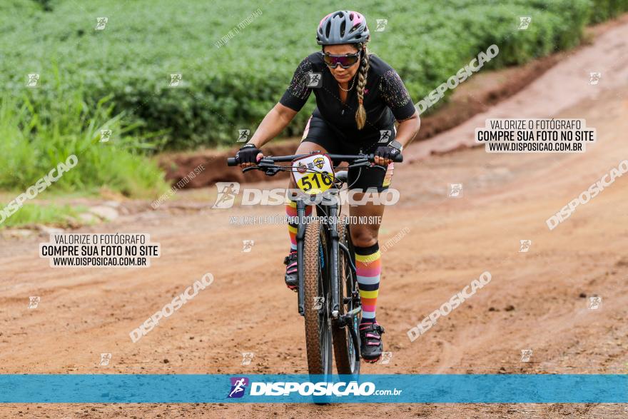 V GP Mandaguaçu de MTB