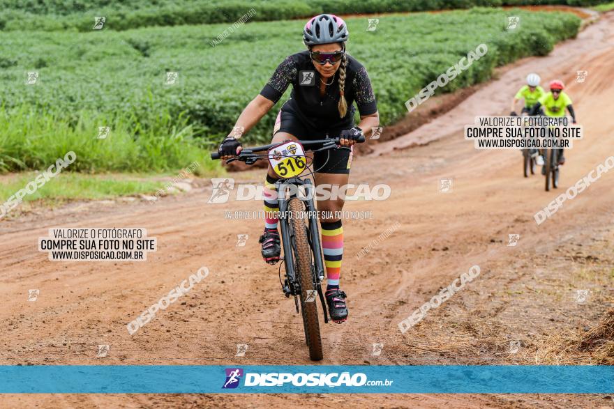 V GP Mandaguaçu de MTB