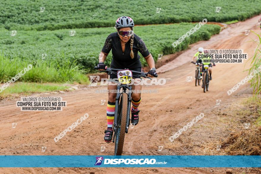 V GP Mandaguaçu de MTB