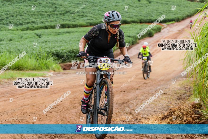 V GP Mandaguaçu de MTB