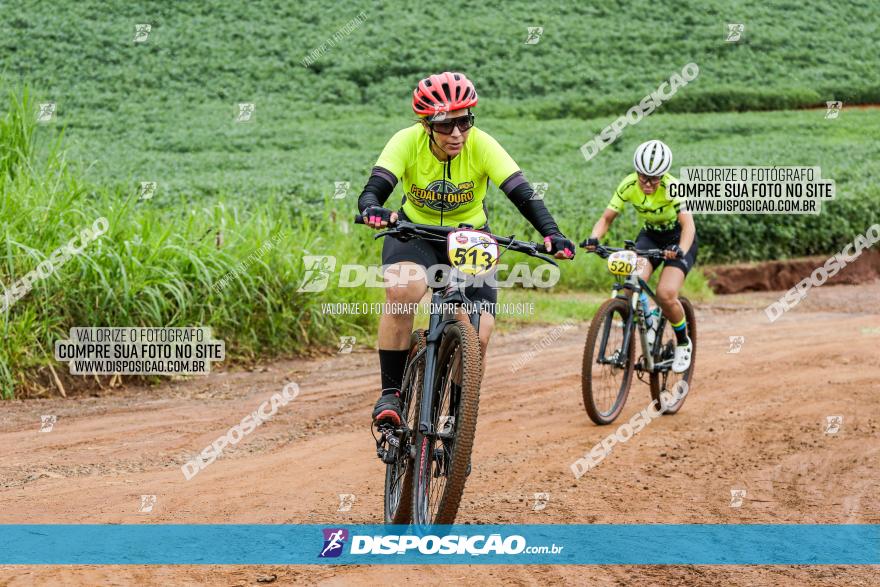 V GP Mandaguaçu de MTB