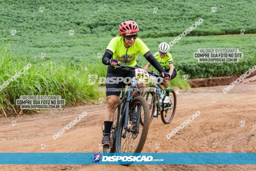 V GP Mandaguaçu de MTB