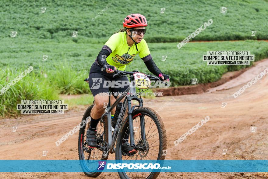 V GP Mandaguaçu de MTB