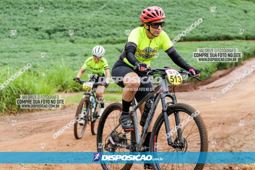 V GP Mandaguaçu de MTB