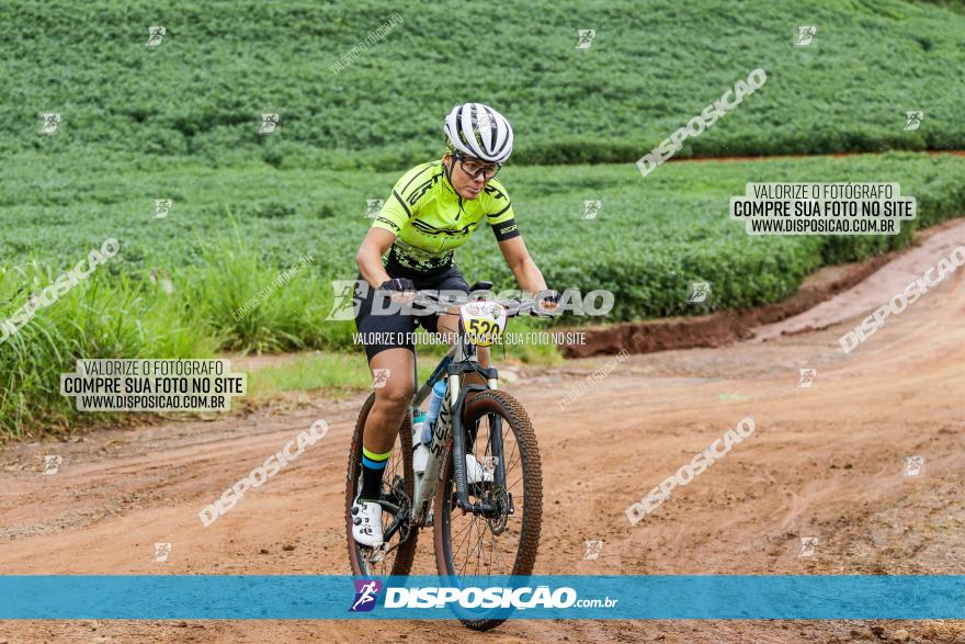 V GP Mandaguaçu de MTB