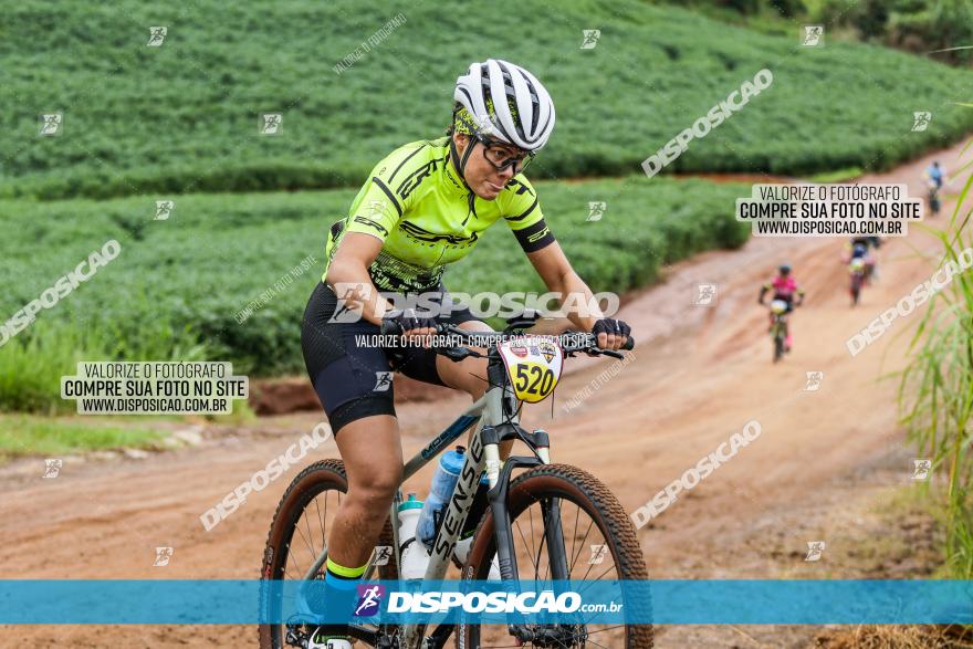 V GP Mandaguaçu de MTB