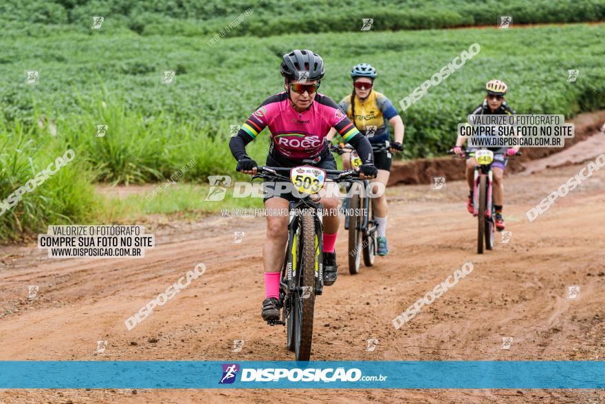 V GP Mandaguaçu de MTB