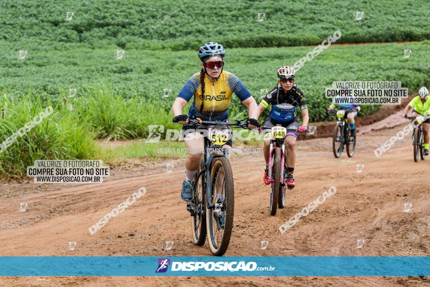 V GP Mandaguaçu de MTB