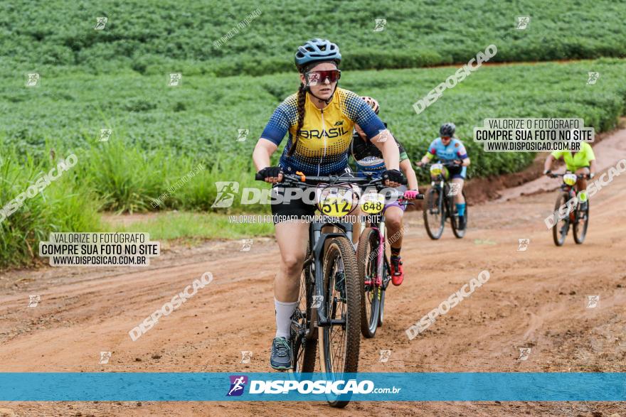 V GP Mandaguaçu de MTB