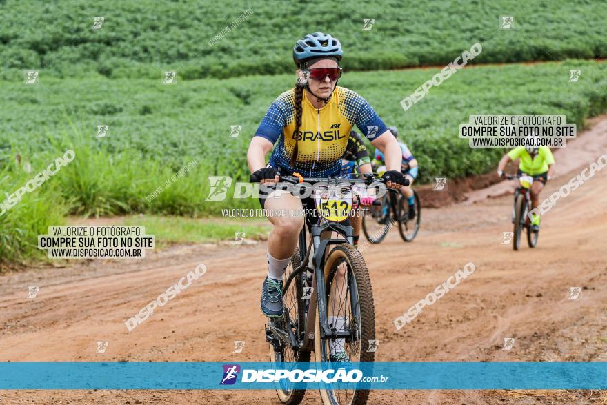 V GP Mandaguaçu de MTB