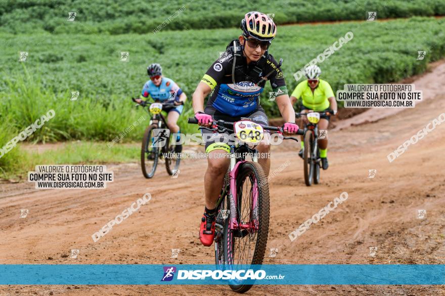 V GP Mandaguaçu de MTB