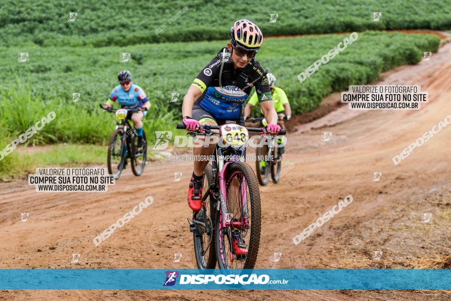 V GP Mandaguaçu de MTB