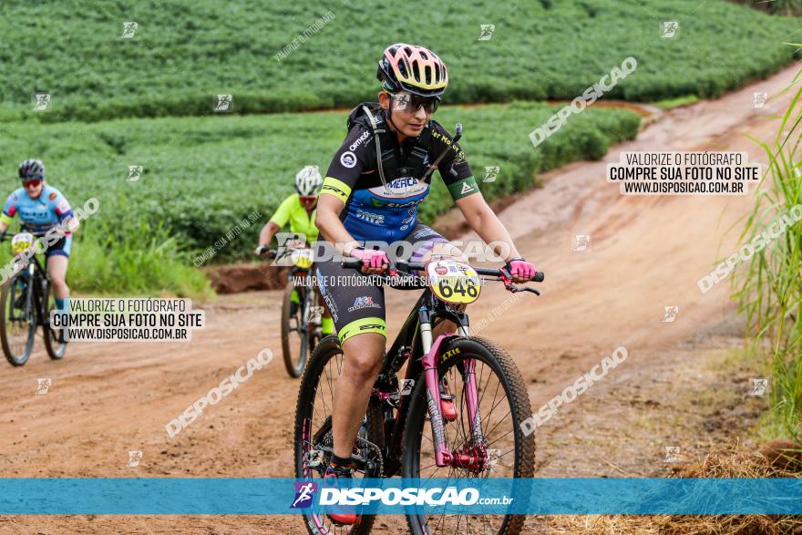 V GP Mandaguaçu de MTB