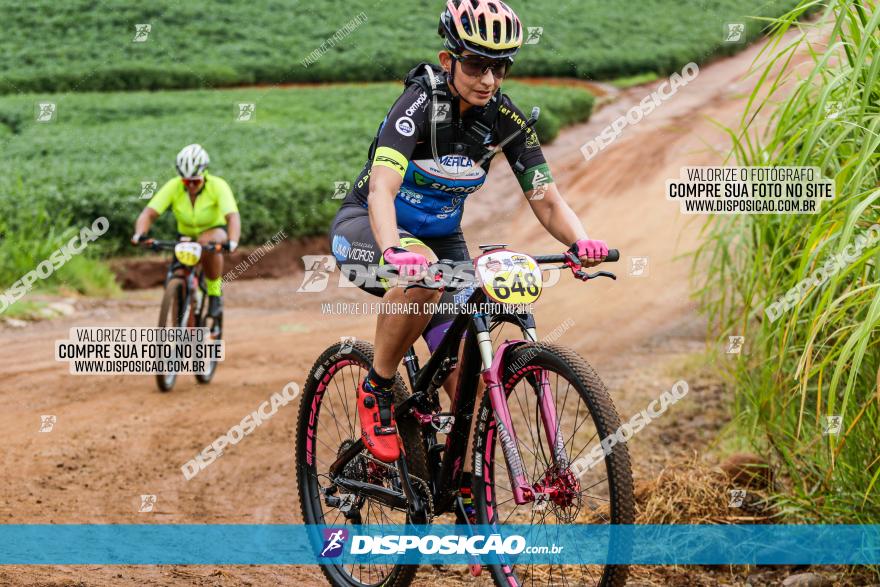 V GP Mandaguaçu de MTB